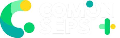 Com’on Sepsi 2026 :: Ifjúsági részvételi folyamat