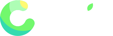 Com’on Sepsi 2025 :: Ifjúsági részvételi folyamat